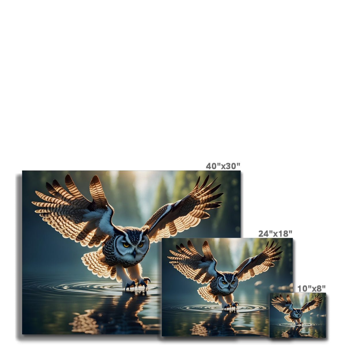 Owl hunting on a lake Canvas