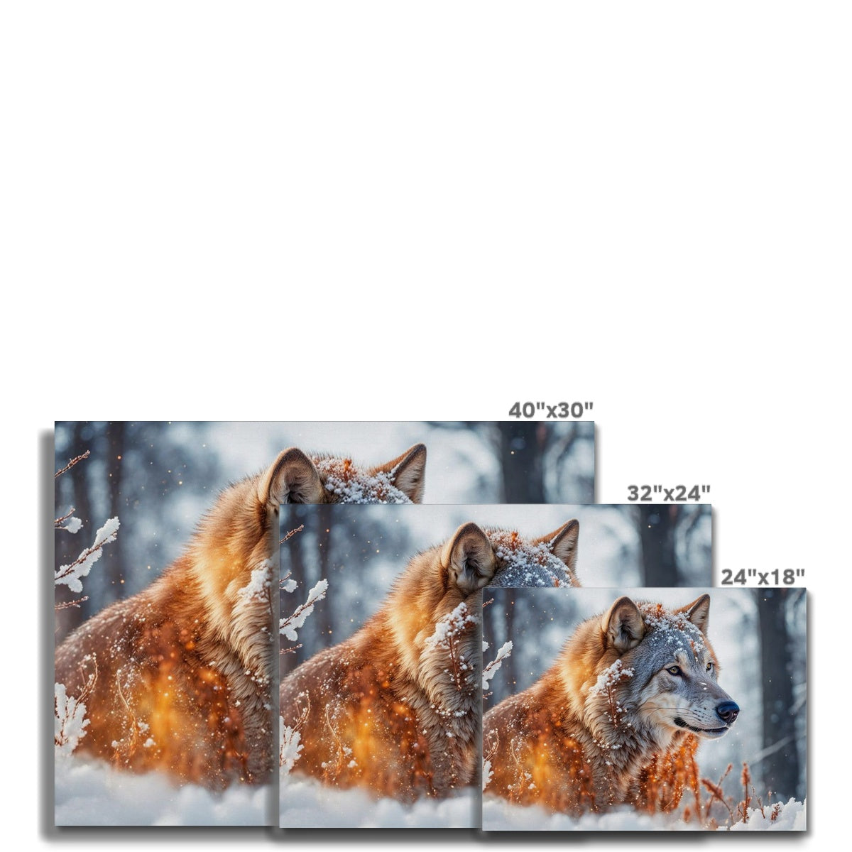 Sunlight Wolf Canvas
